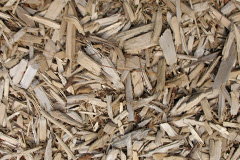 biomass boilers Hastingwood