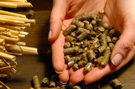 Hastingwood pellet boiler